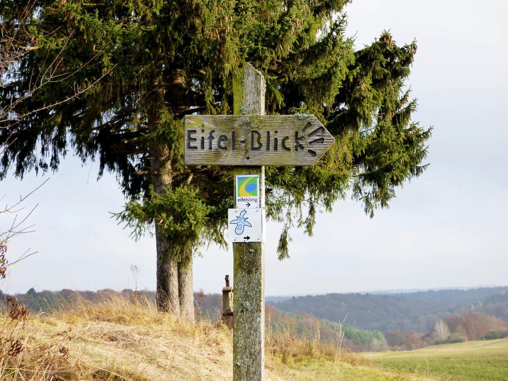 Ahrhütte Relaxen Am Nationalpark Eifelヴィラ エクステリア 写真