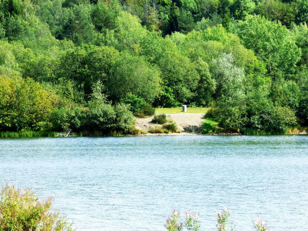 Ahrhütte Relaxen Am Nationalpark Eifelヴィラ エクステリア 写真
